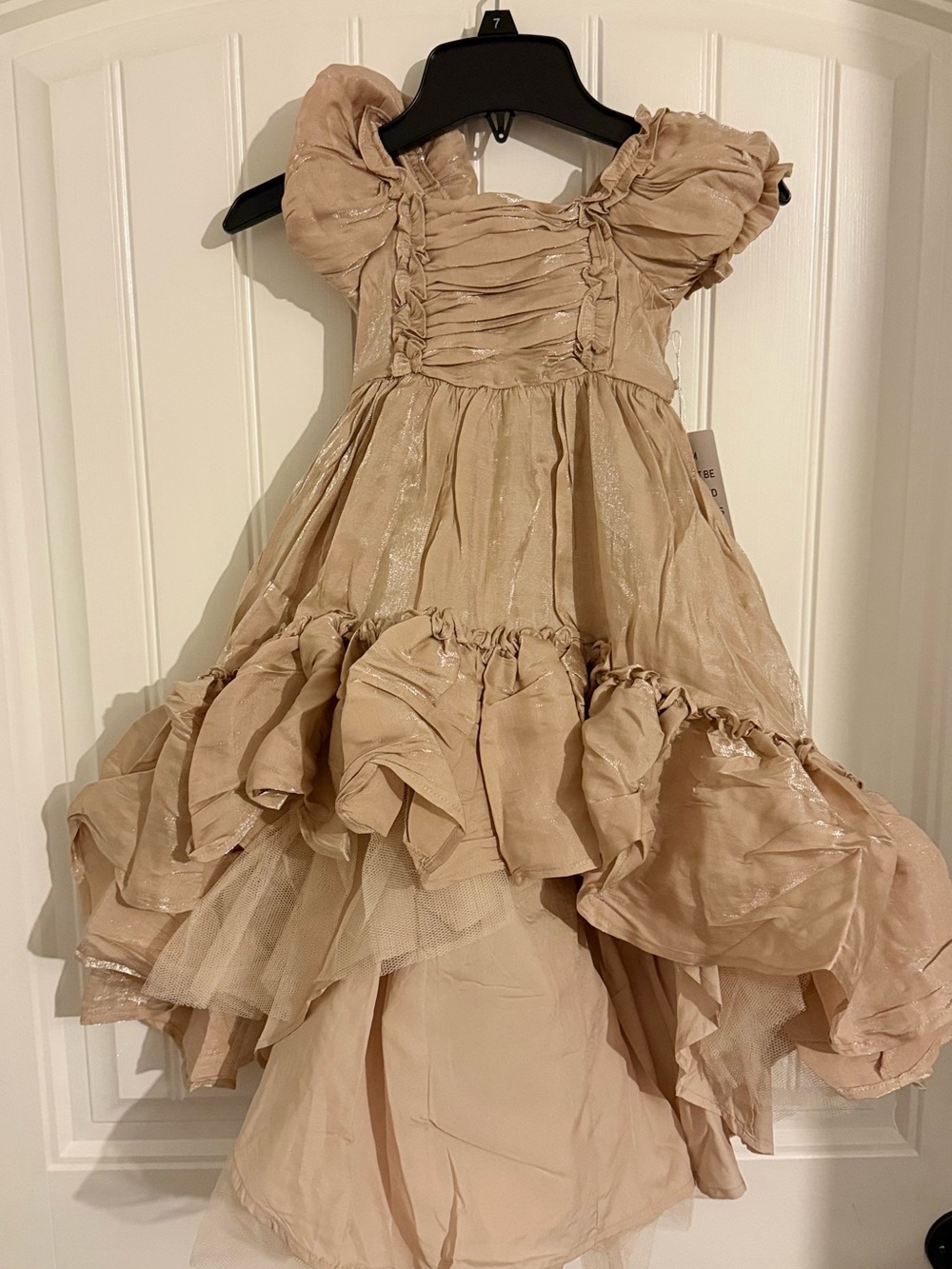 Joyfolie Shimmery Champagne Ruffle Party Dress